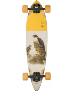 GLB PINTAIL 34 COMPLETE-8.75X30.5 FALCON