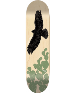 MEOW TORRES NOPALES DECK-8.0