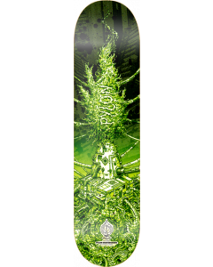 PYLON ARTIST SERIES MATT STIKKER DECK-8.62