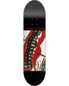 ANTIZ MUSIC JESUS LIZARD DECK-8.12