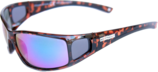 5VHAPALLIBR0426-listing.png