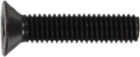1ASTAPBOLT78000-listing.png