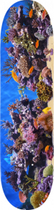1DMIN75191FSHTK-listing.png